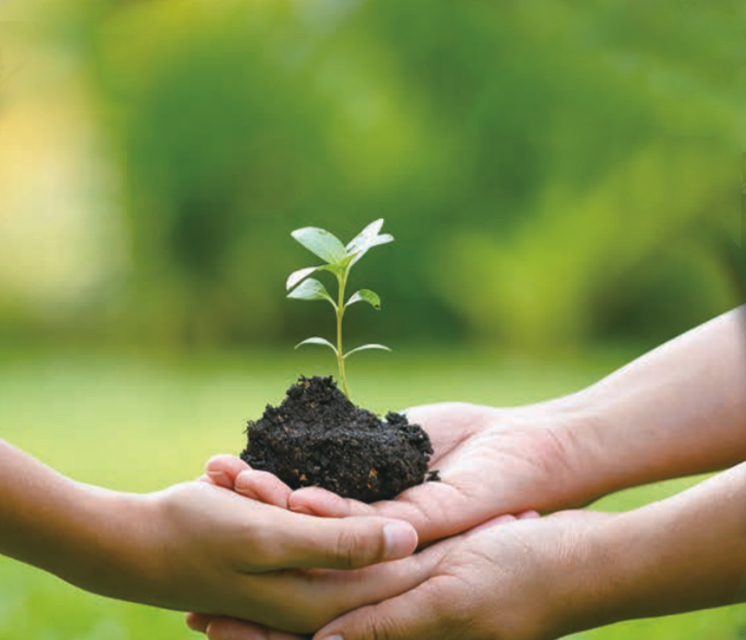 ob體育官網集团